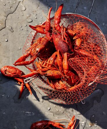A wire basket full of brigh red, cooked crawfish.