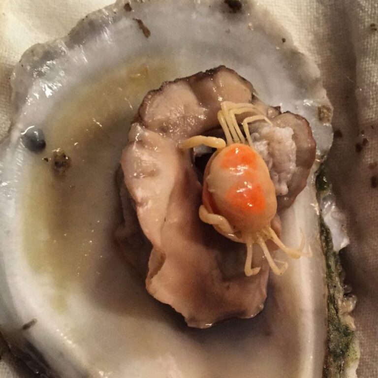 A tiny crab in an oyster
