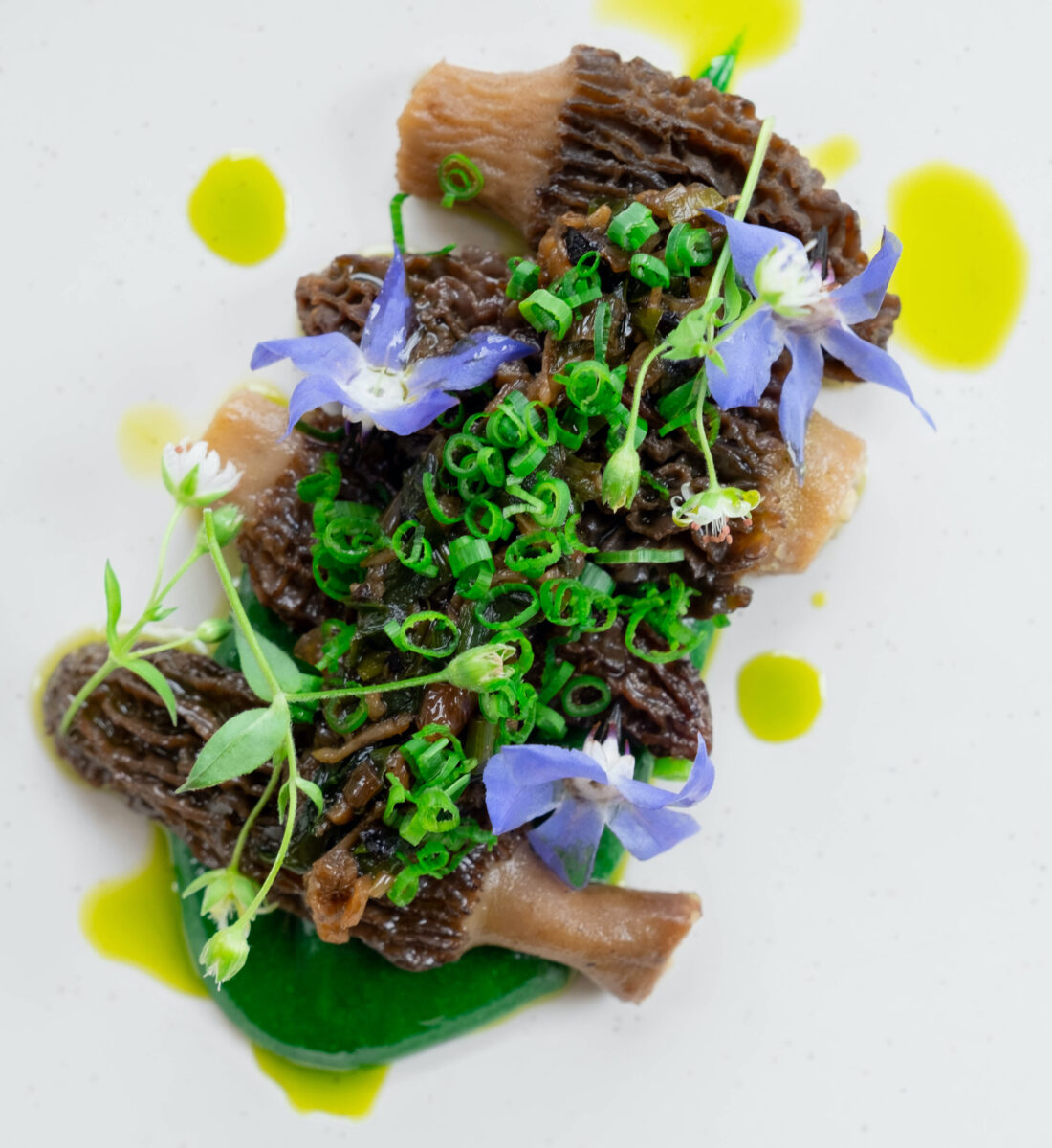 Morels with scallop and ramp sauce.