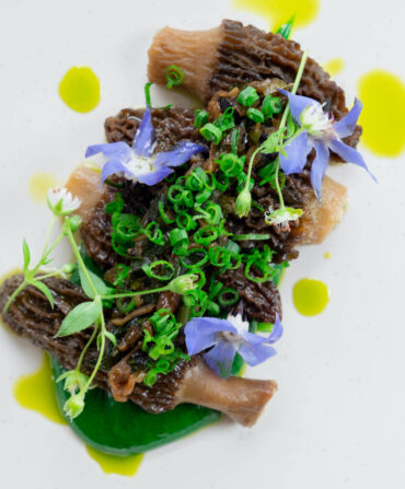 Morels with scallop and ramp sauce.