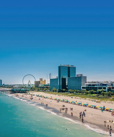 a shoreline with sky scrapers and a ferris wheel on the beach