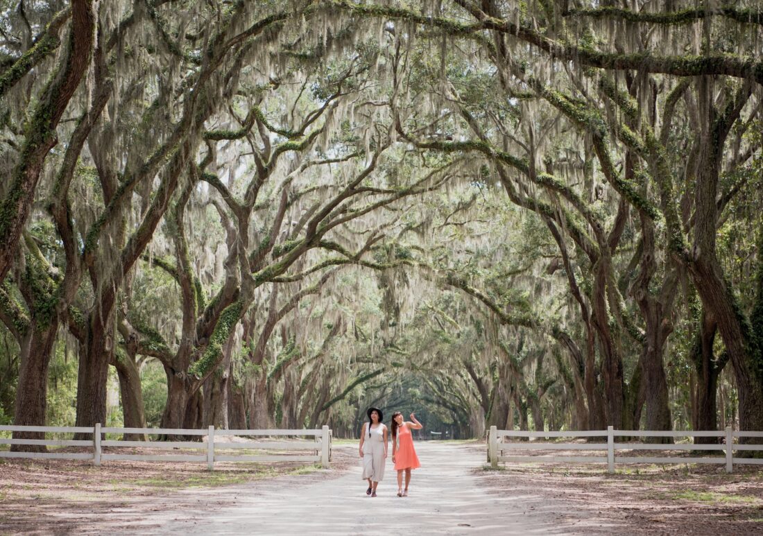 two people walking underneath live oak trees