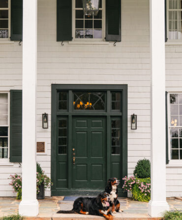 Two dogs outside the porch of a historic white home