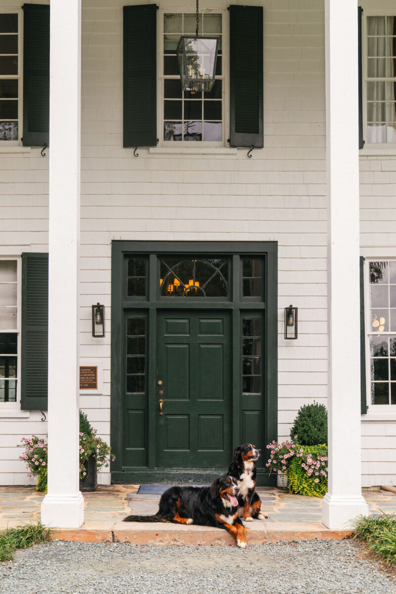 Two dogs outside the porch of a historic white home