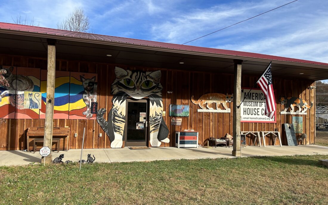 A building with cats painted on the side