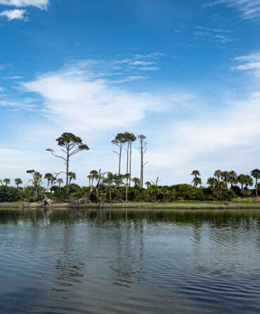 A kayaker paddles in a river with palm trees behind