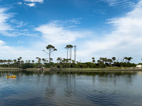 A kayaker paddles in a river with palm trees behind