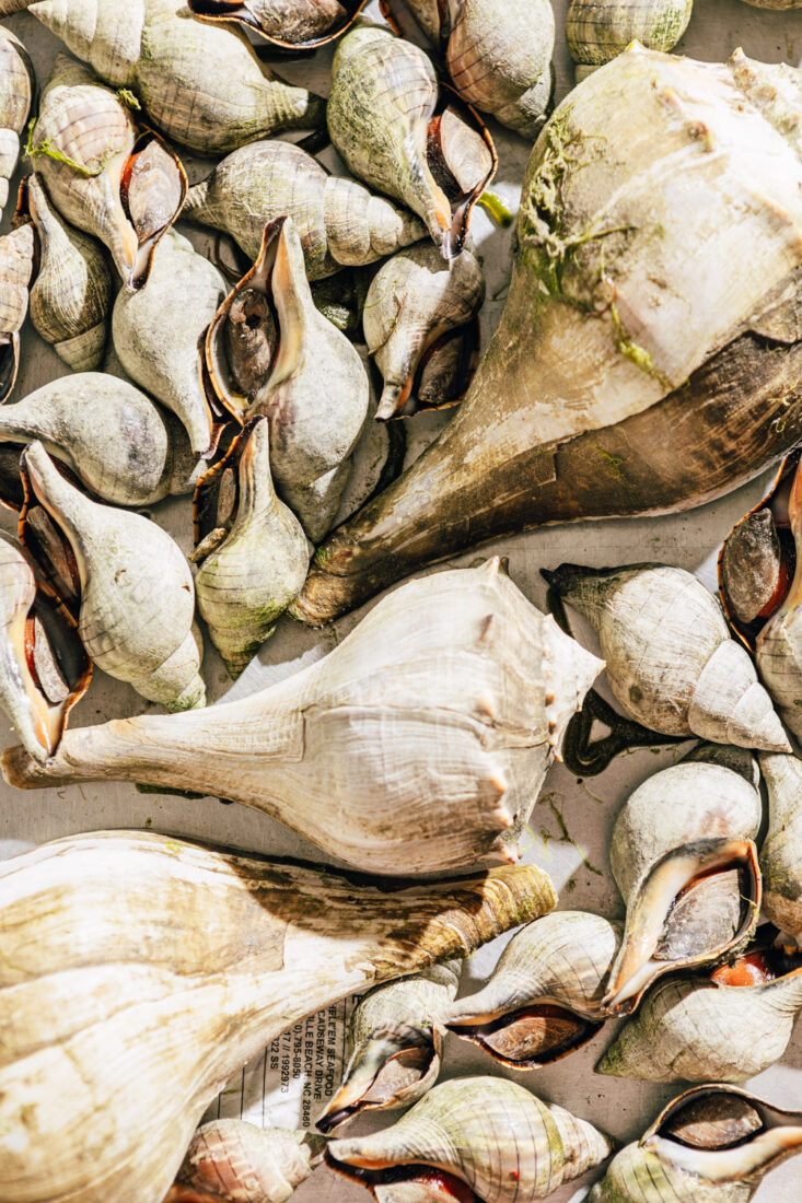 A silver tray with tulip snails and whelks.