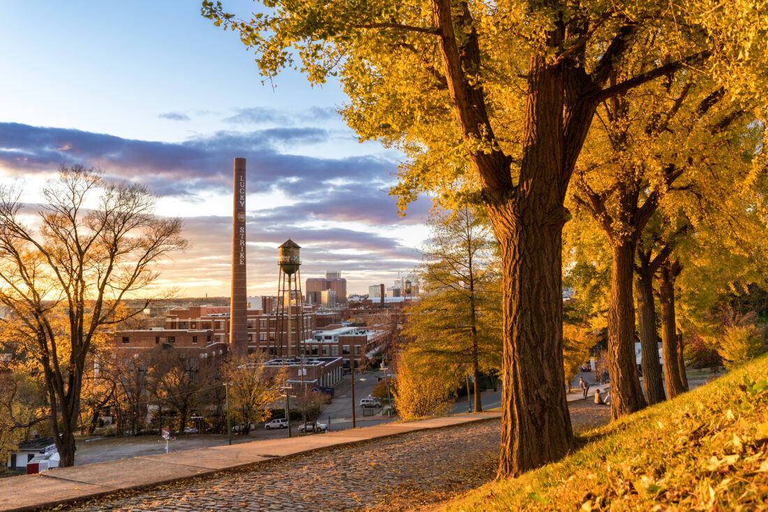 A cobble street with fall trees overlooks a city skyline