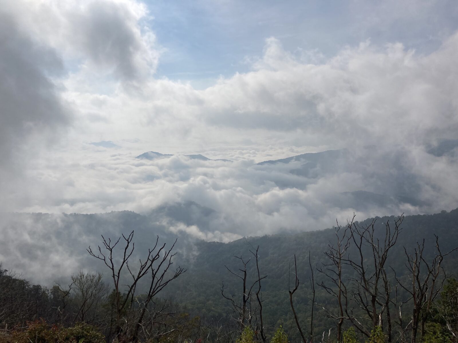 A scenic mountain lookout