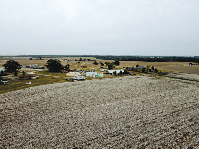 Alabama’s Bridgeforth Cotton Spins a Clothing Brand from a Family ...