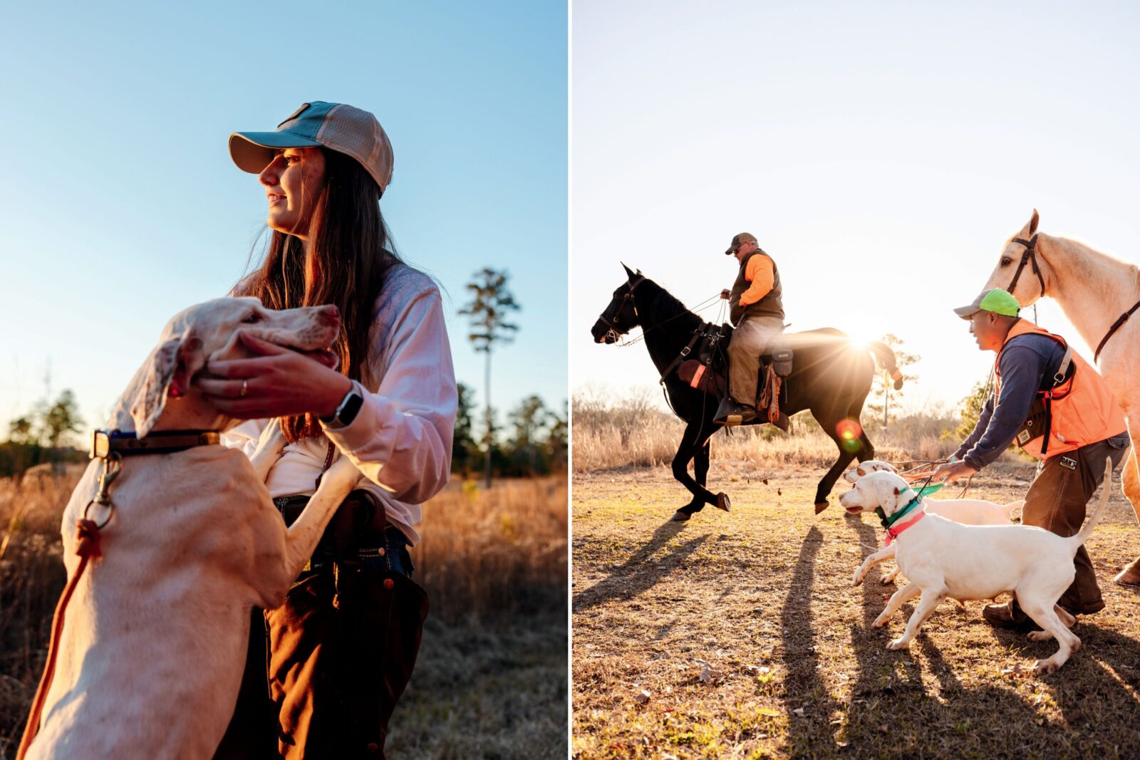 A woman pets a white dog; a group of dogs with horses and a man on a horse