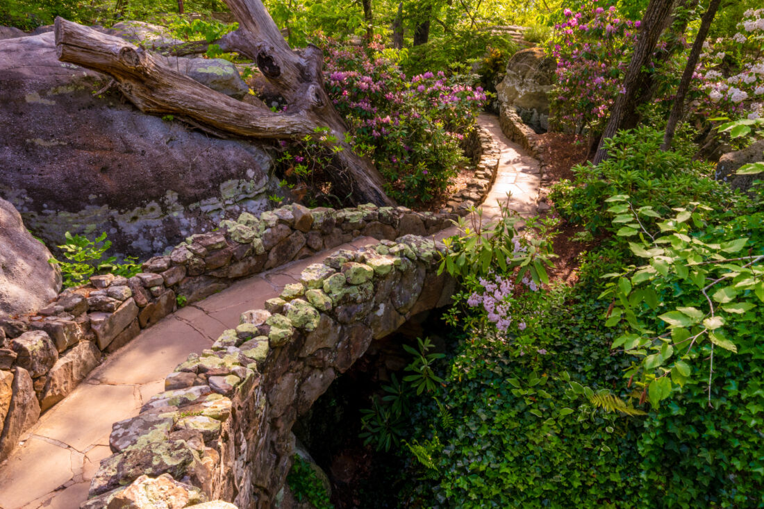 A rock bridge through a flowered forest