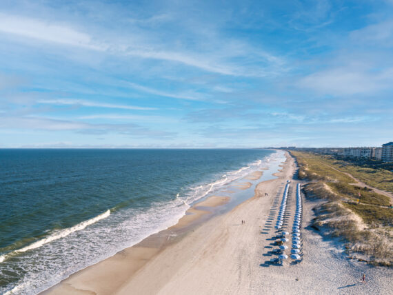 A beach with umbrellas