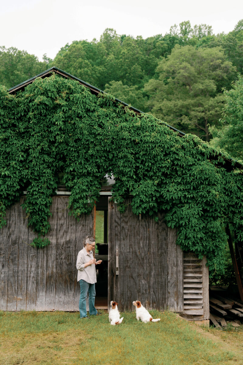 Discovering the art of restoration in Virginia’s Shenandoah Valley – Garden & Gun