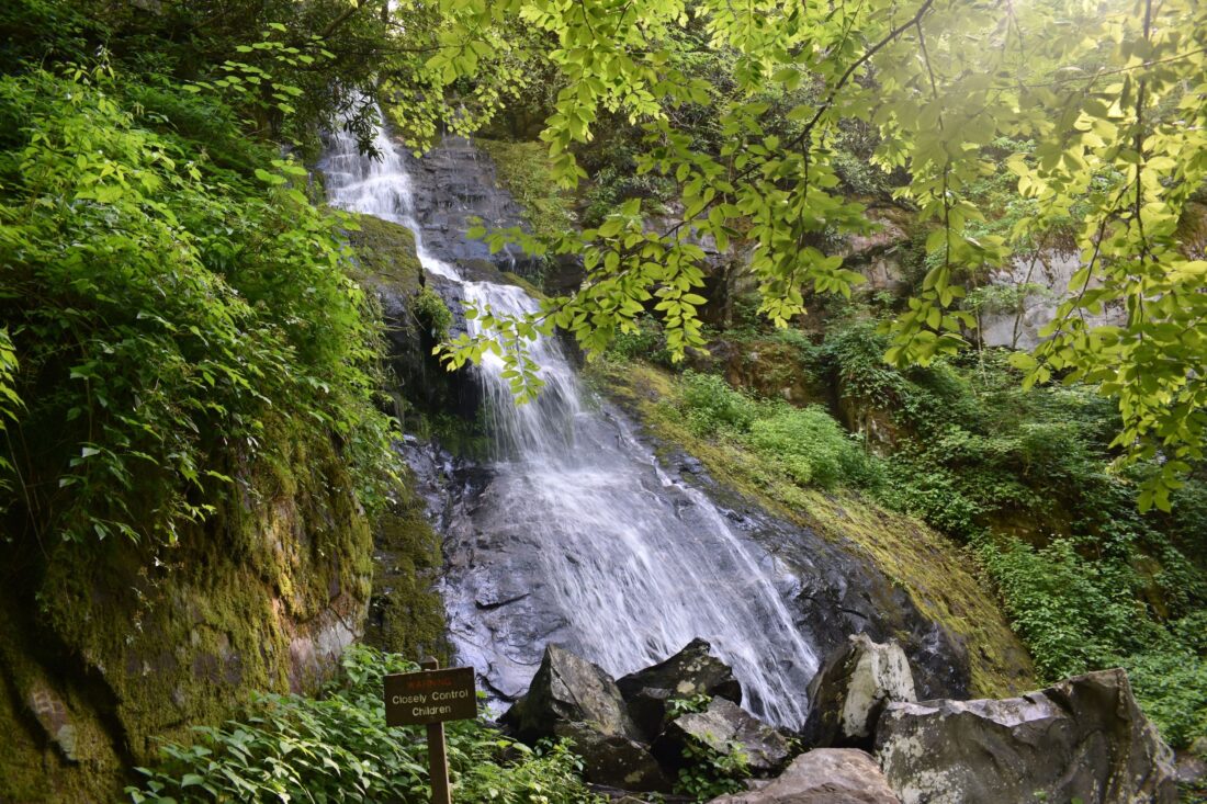 A waterfall with greenery