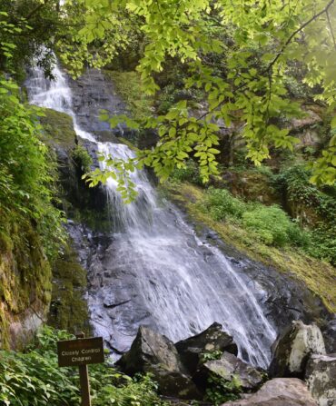 A waterfall with greenery