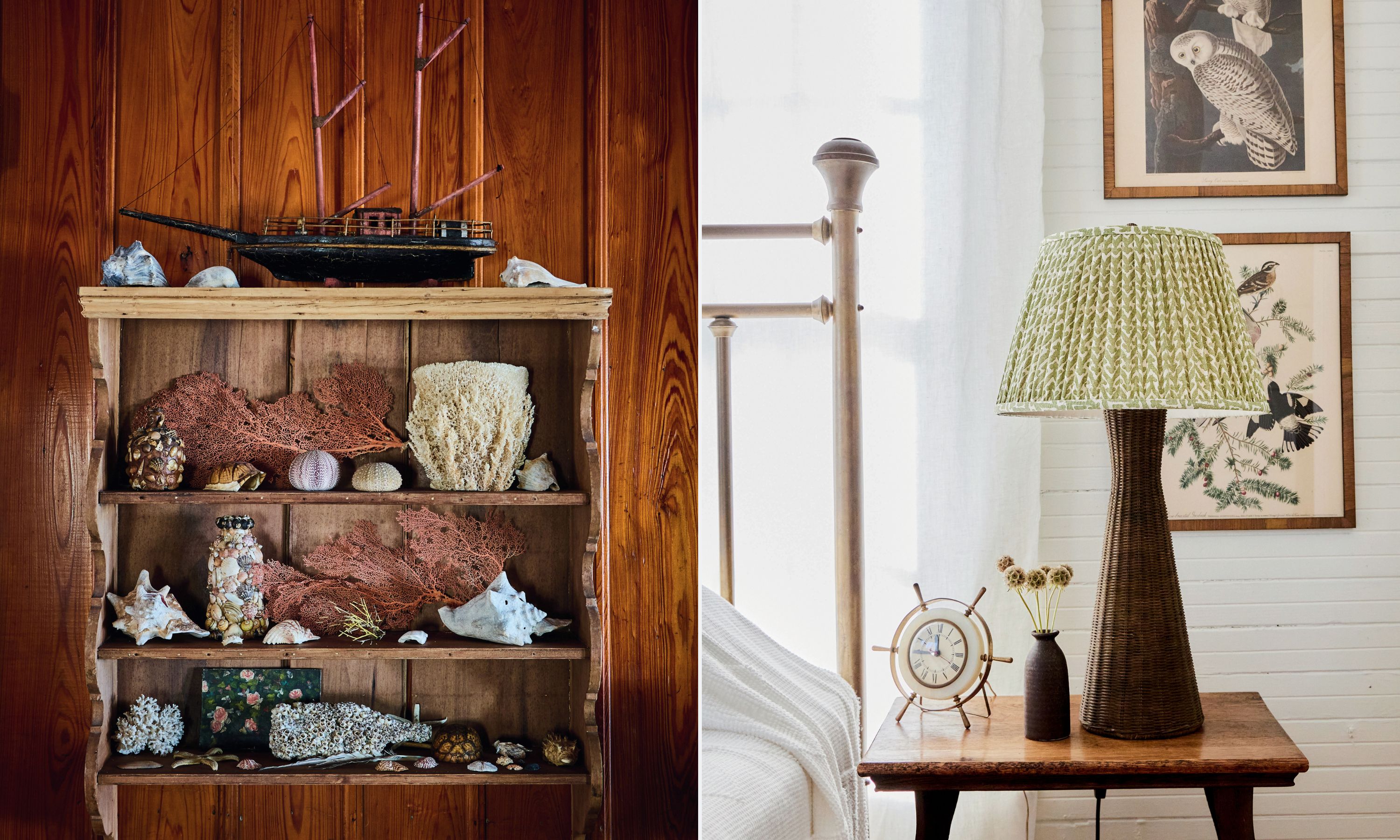 A wood shelf of seashells and collected natural items; a bedside table with a pleated green and white lamp.