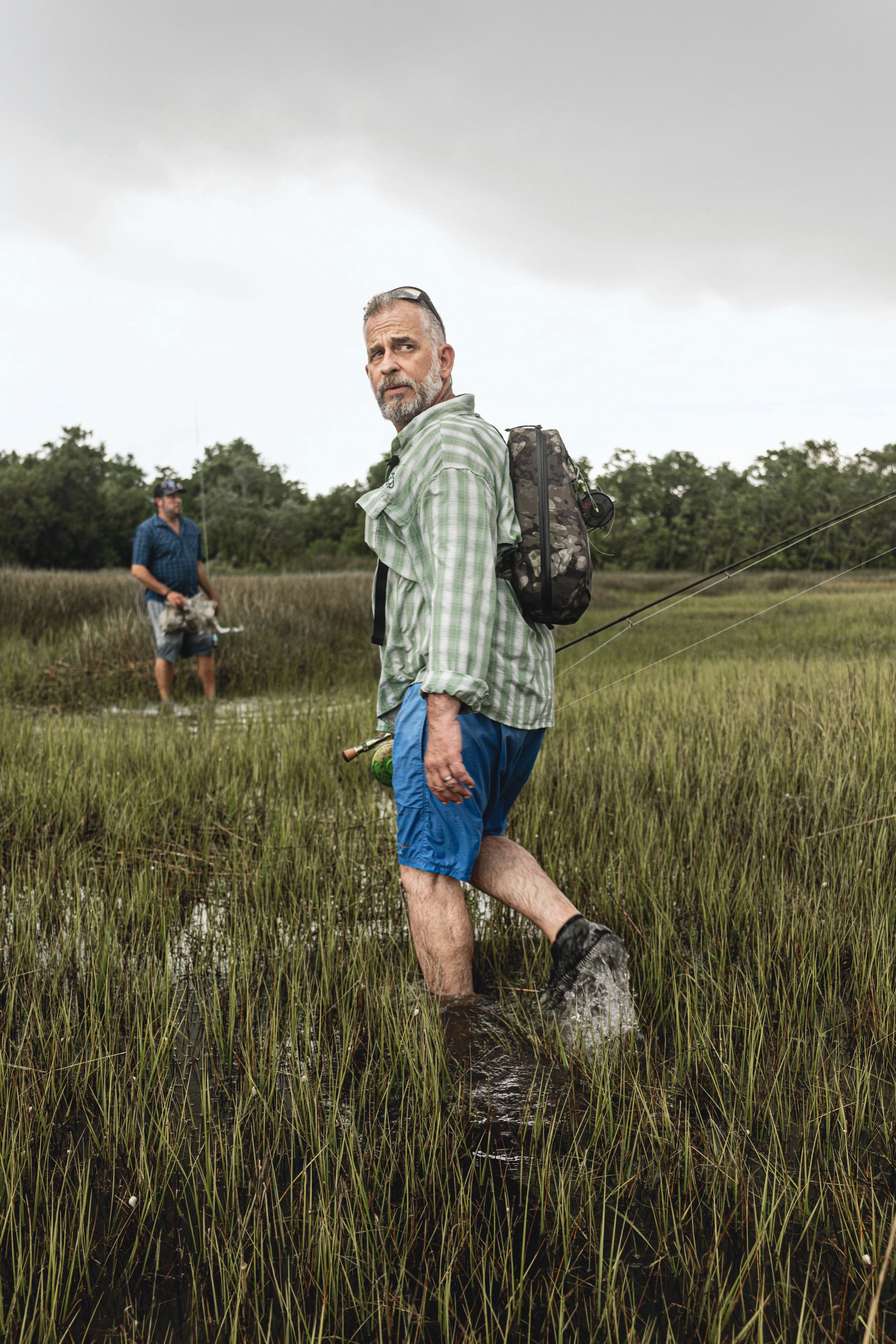 A man walks through a marsh