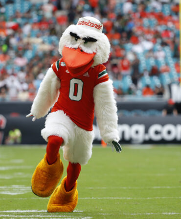 An ibis mascot