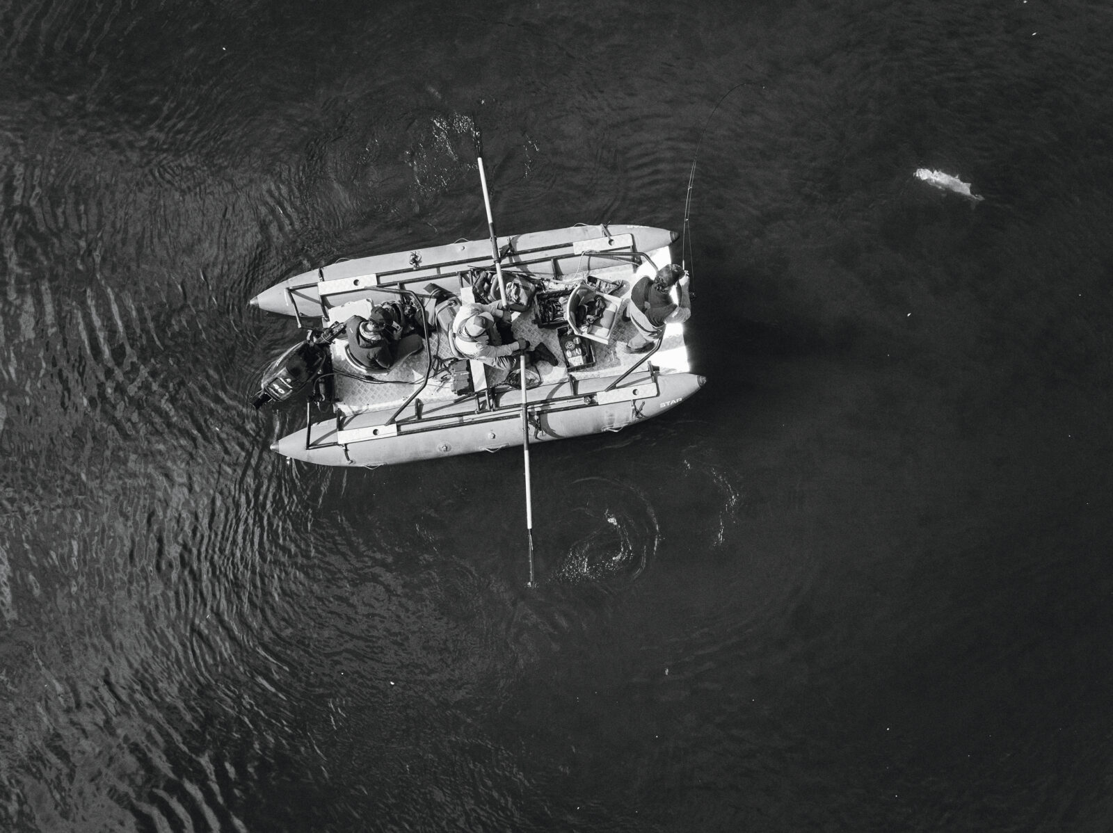 An aerial shot of a fish nearing a boat