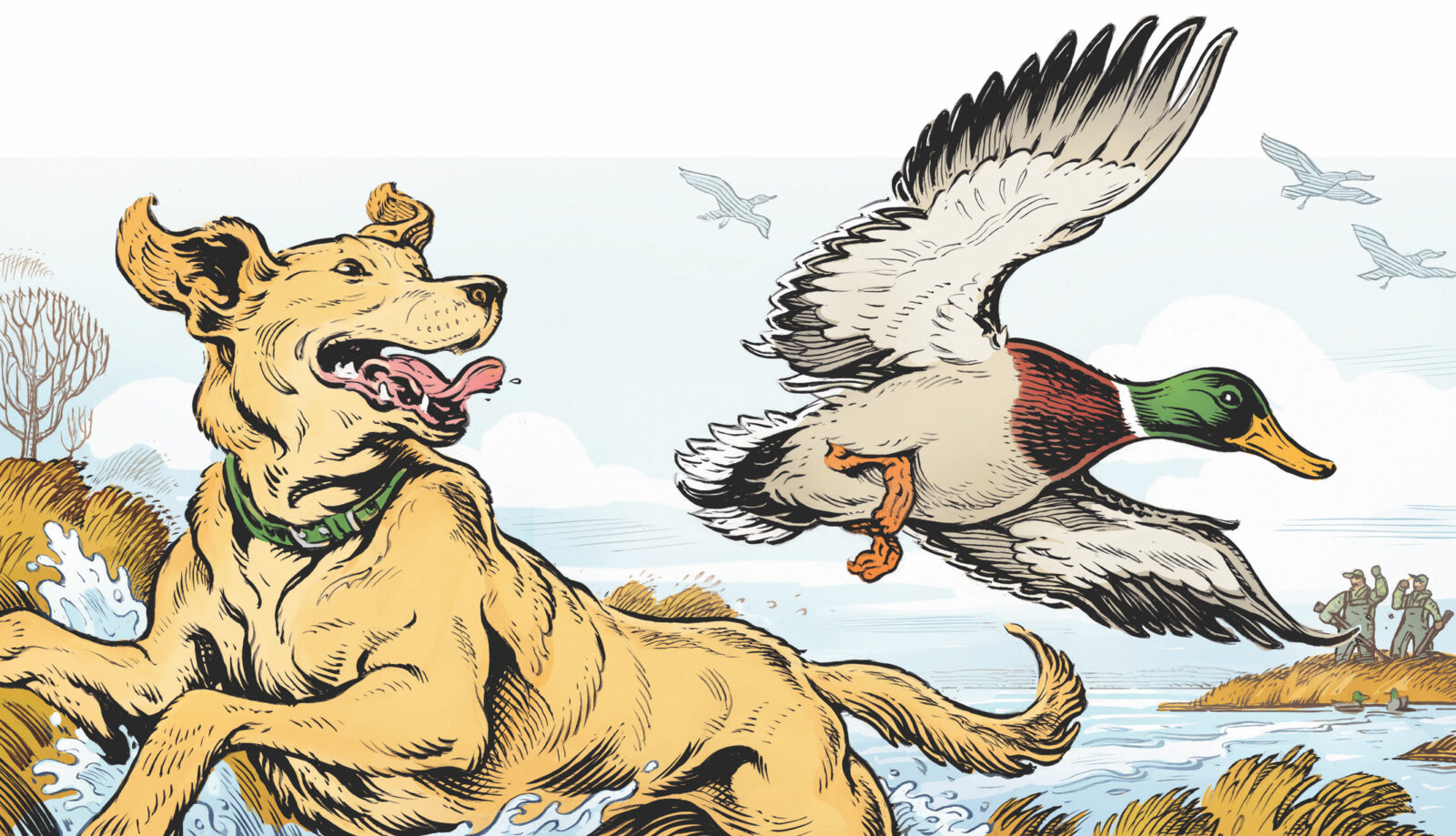 An illustration of a dog chasing a duck
