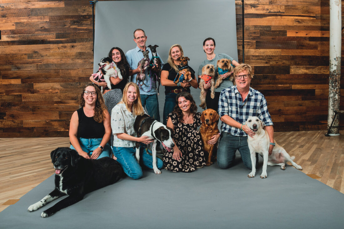 A group of people gather with their dogs