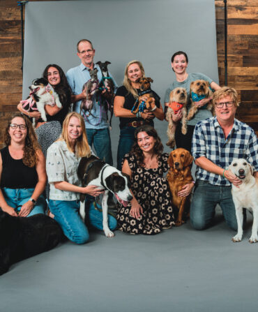 A group of people gather with their dogs