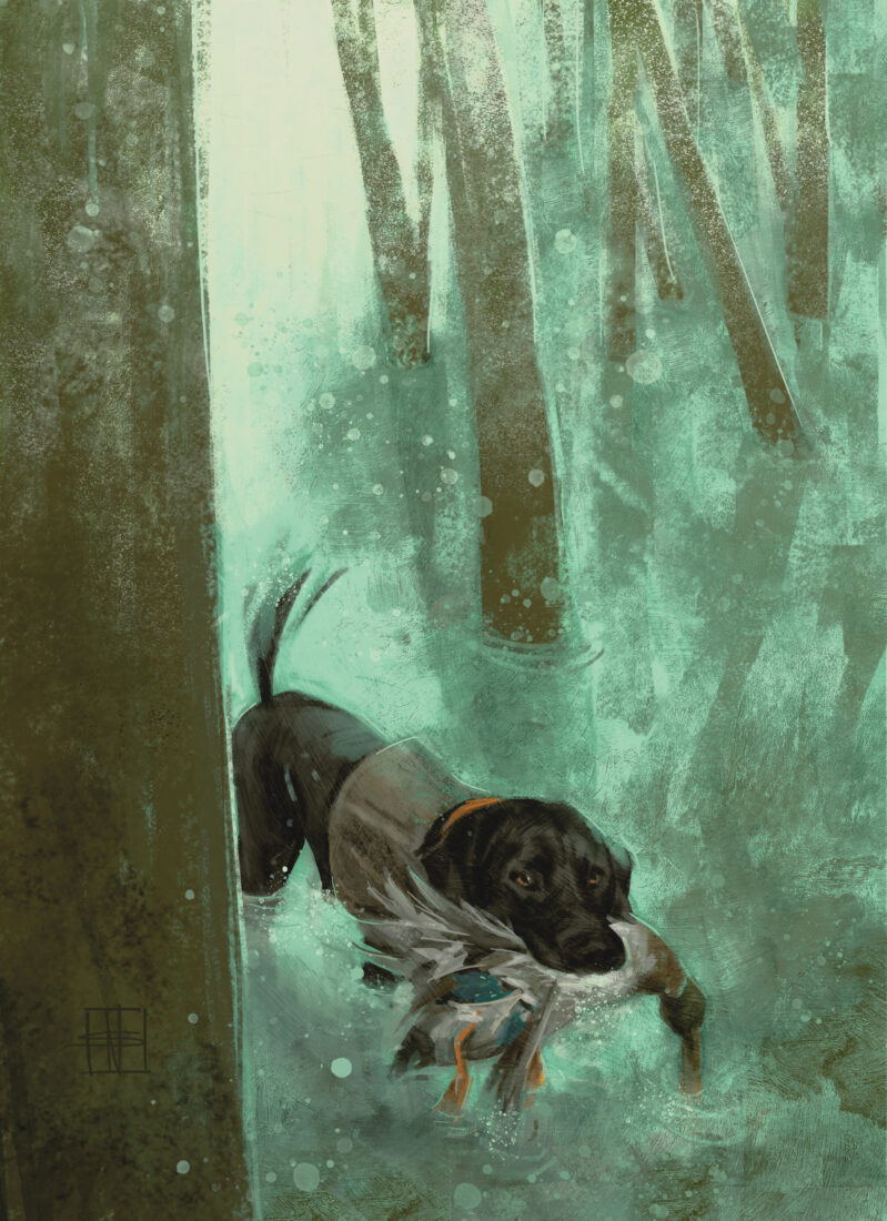 An illustration of a dog holding a duck in its mouth