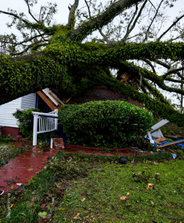 A woman outside her home, which was crushed by a fallen tree