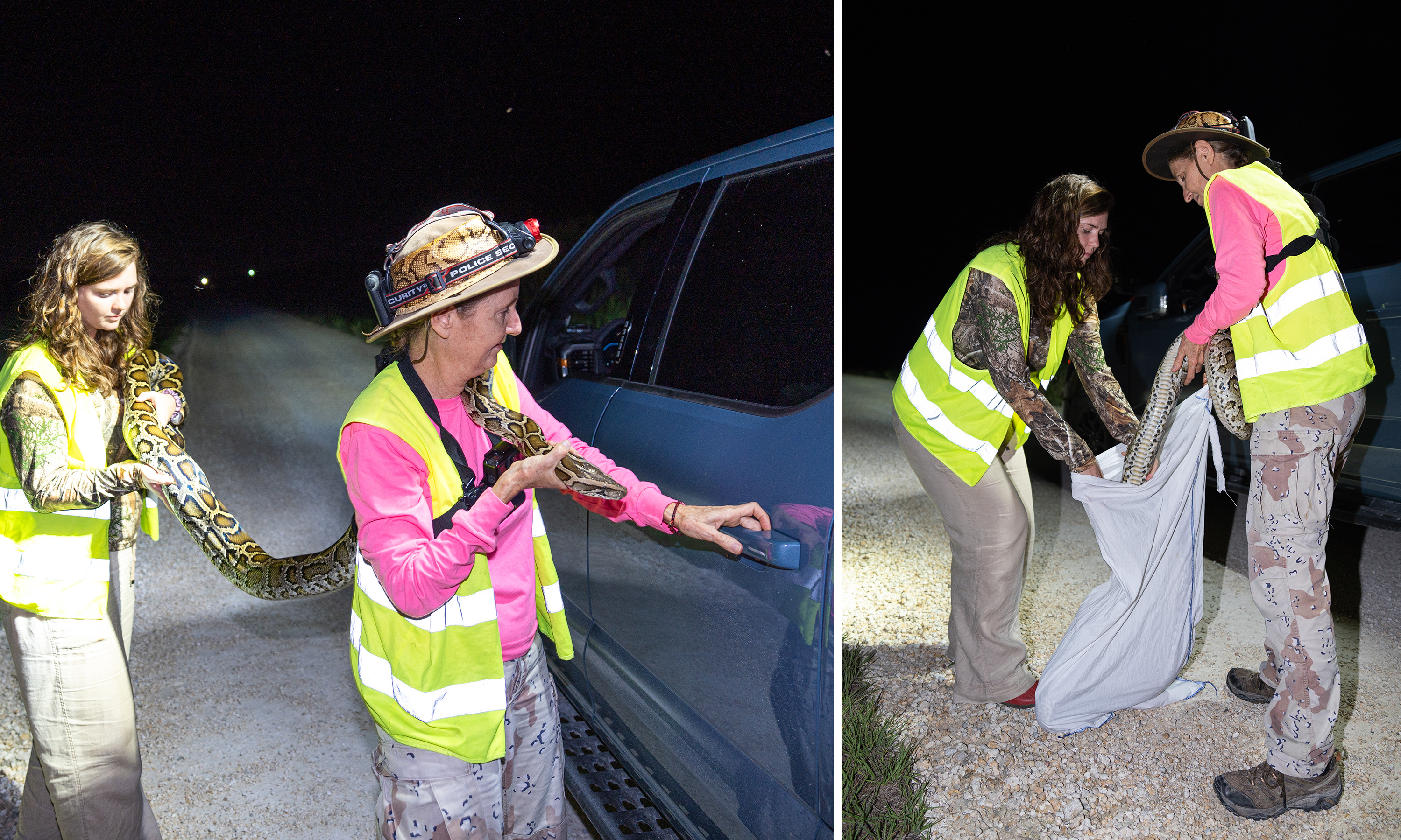 Two photos of women holding a python and putting it into a cloth bag