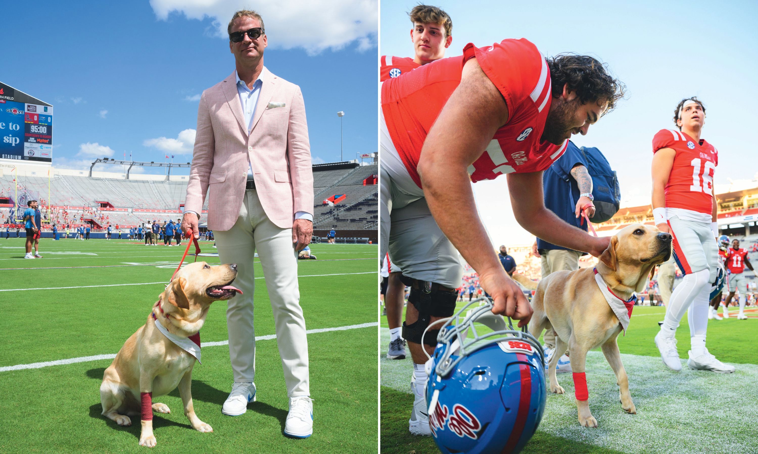 A man poses with a lab on a field; a football player pets a lab