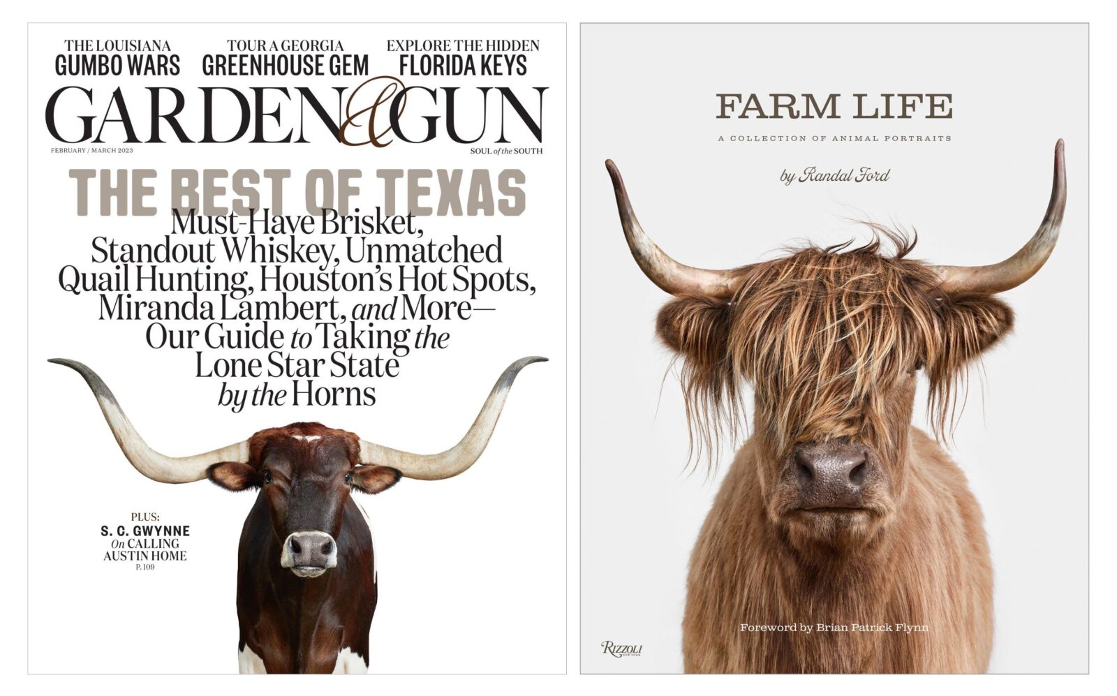 A magazine cover and a book cover