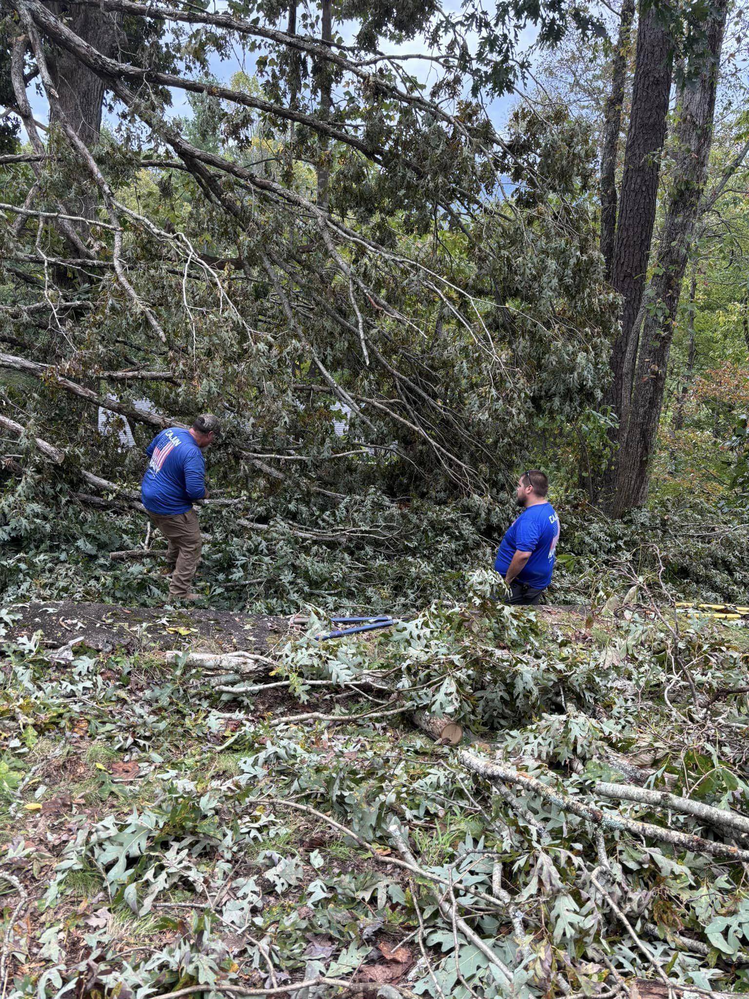 Mountain Mules Are Bringing Hope to Appalachia – Garden & Gun