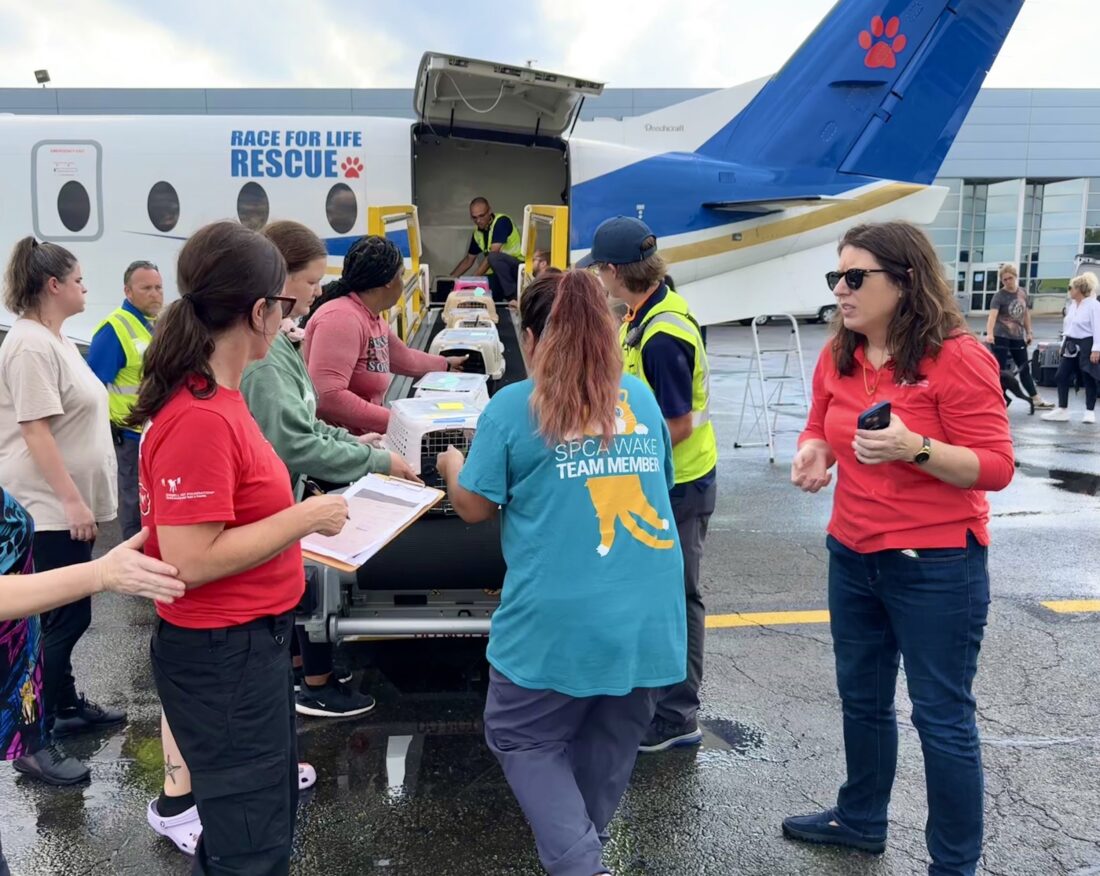 People unload animal crates from a place