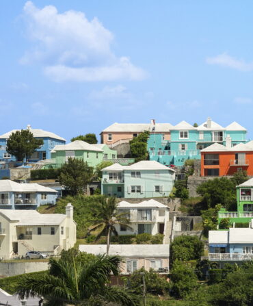 A colorful city scape