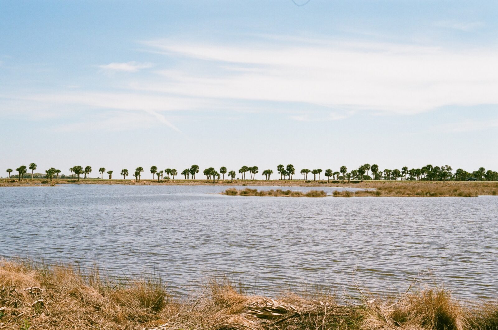 A stretch of coastline with water and distant trees