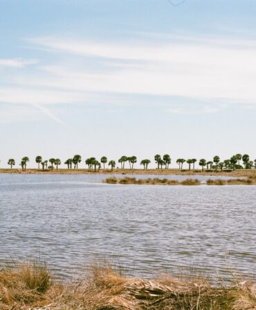 A stretch of coastline with water and distant trees