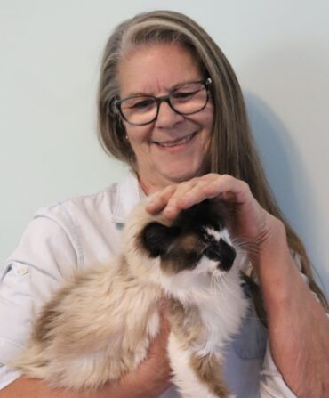 A woman holds a cream and brown cat