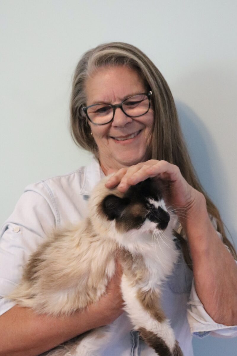 A woman holds a cream and brown cat