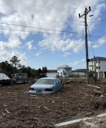 sea grass and debris cover Steinhatchee's bay front