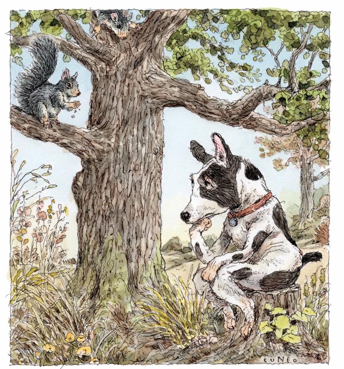 An illustration of a dog sitting under a tree looking at a squirrel