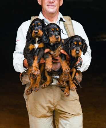 A man holds three black and brown puppies