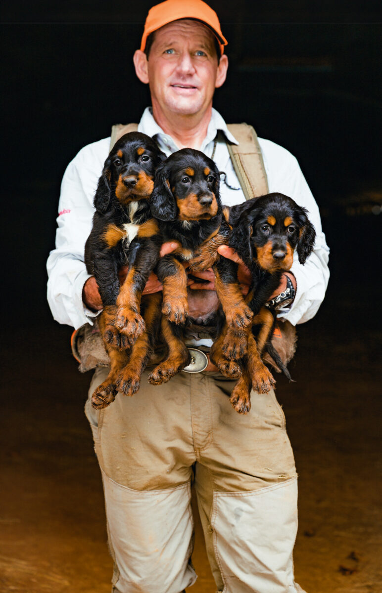 A man holds three black and brown puppies