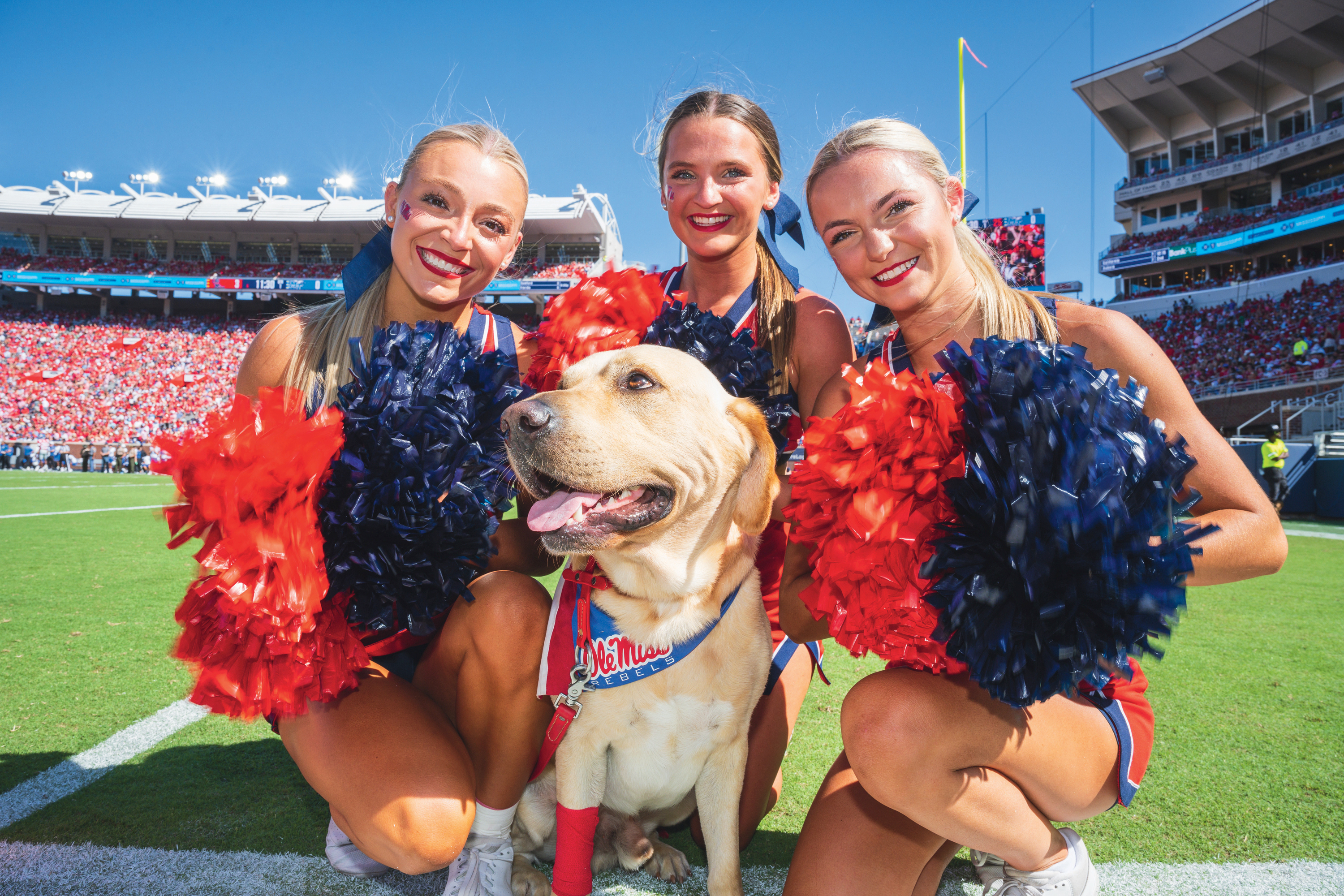 Cheerleaders smile and crowd around a yellow lab