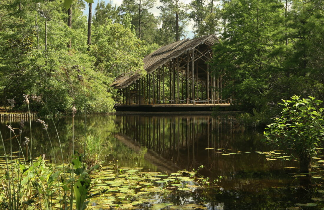 A wood pavilion on top of a pond with plants