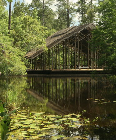 A wood pavilion on top of a pond with plants