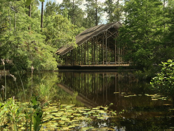 A wood pavilion on top of a pond with plants