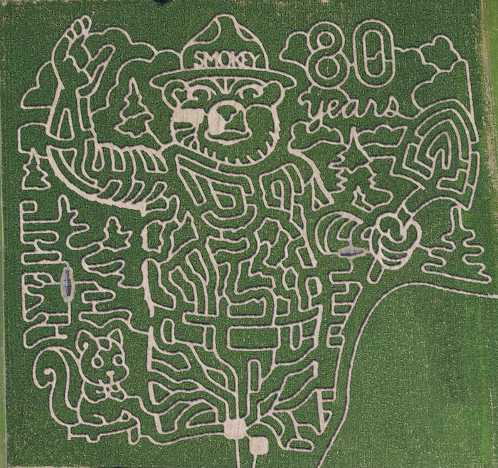 An aerial view of Uncle Shuck’s corn maze