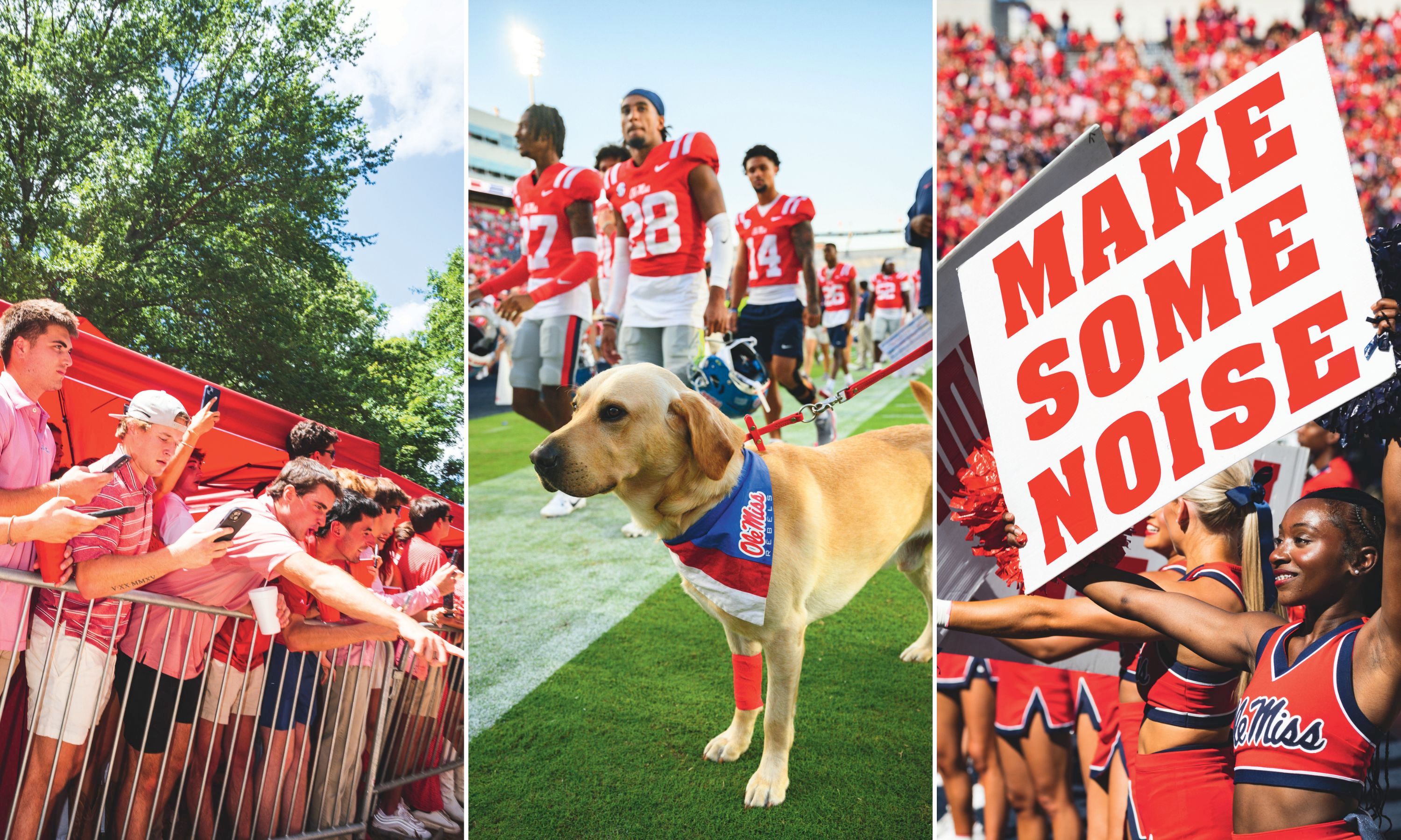 People cheer from sidelines; a dog on a field; a sign that says "Make Some Noise" in a crowd